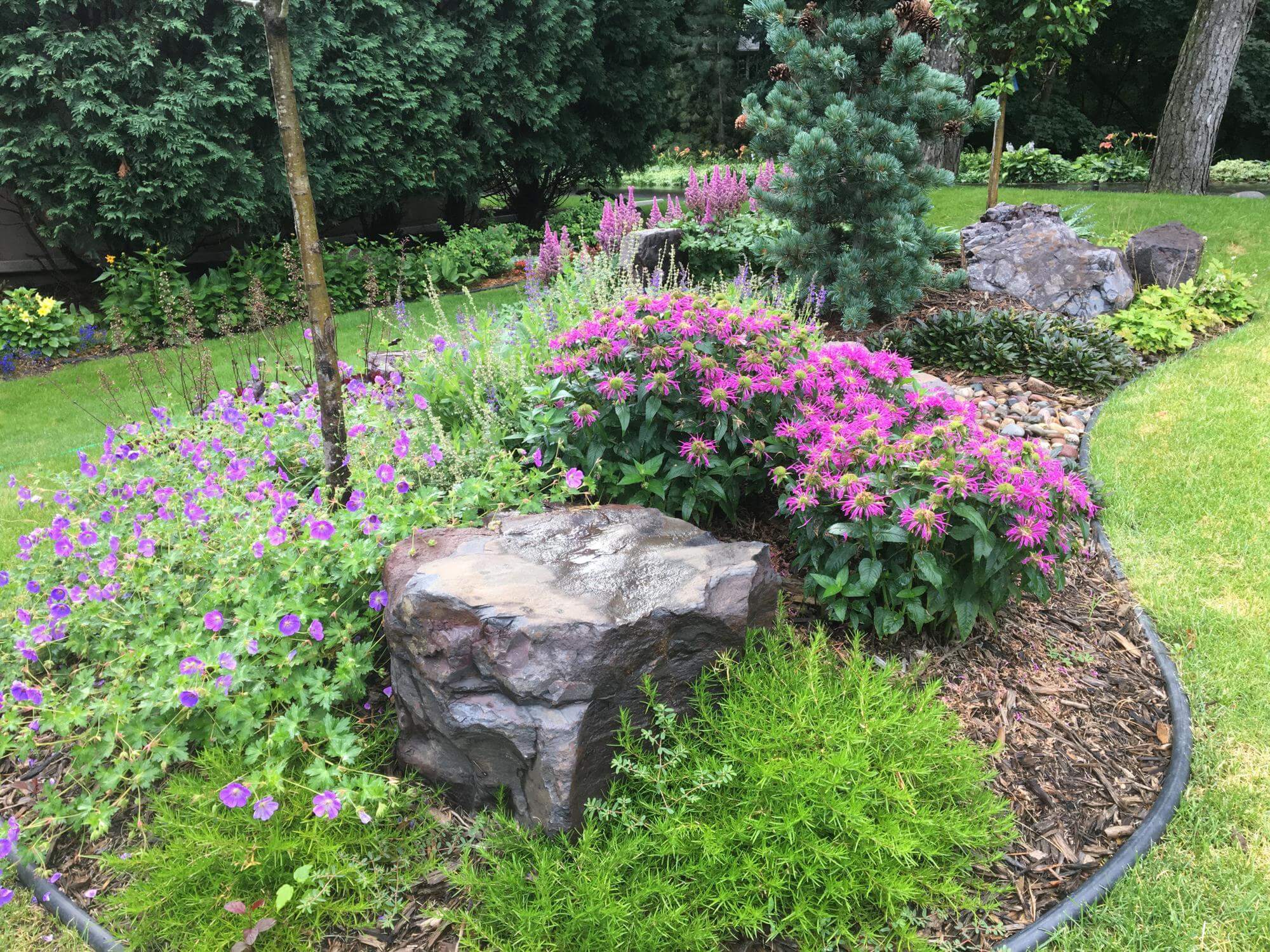 Image 89