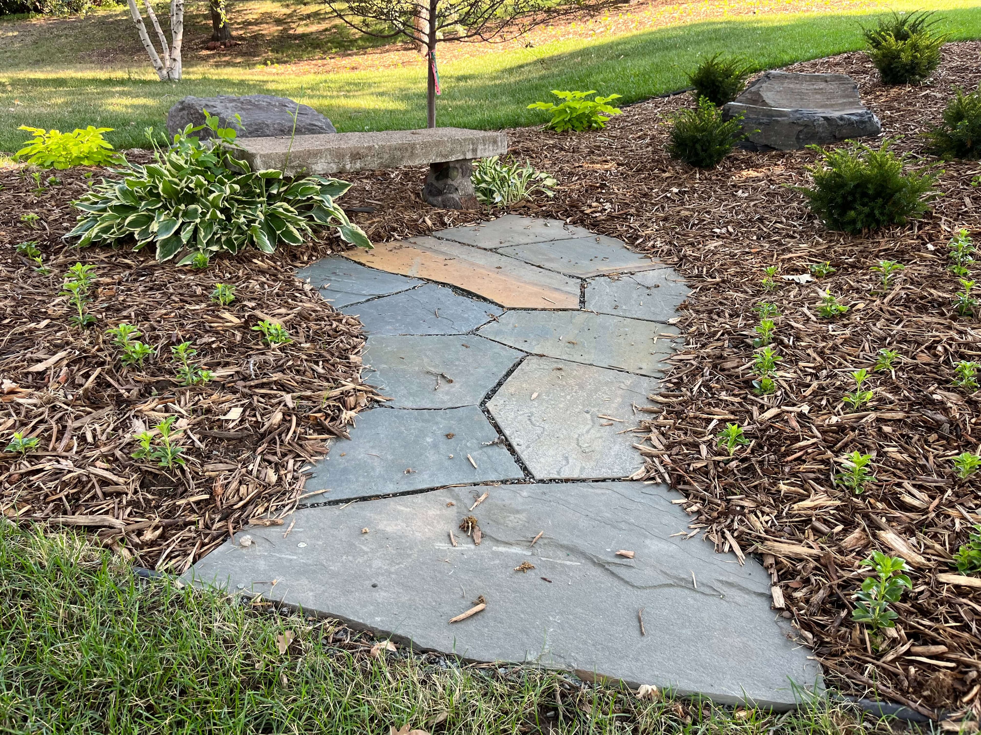 Image 19