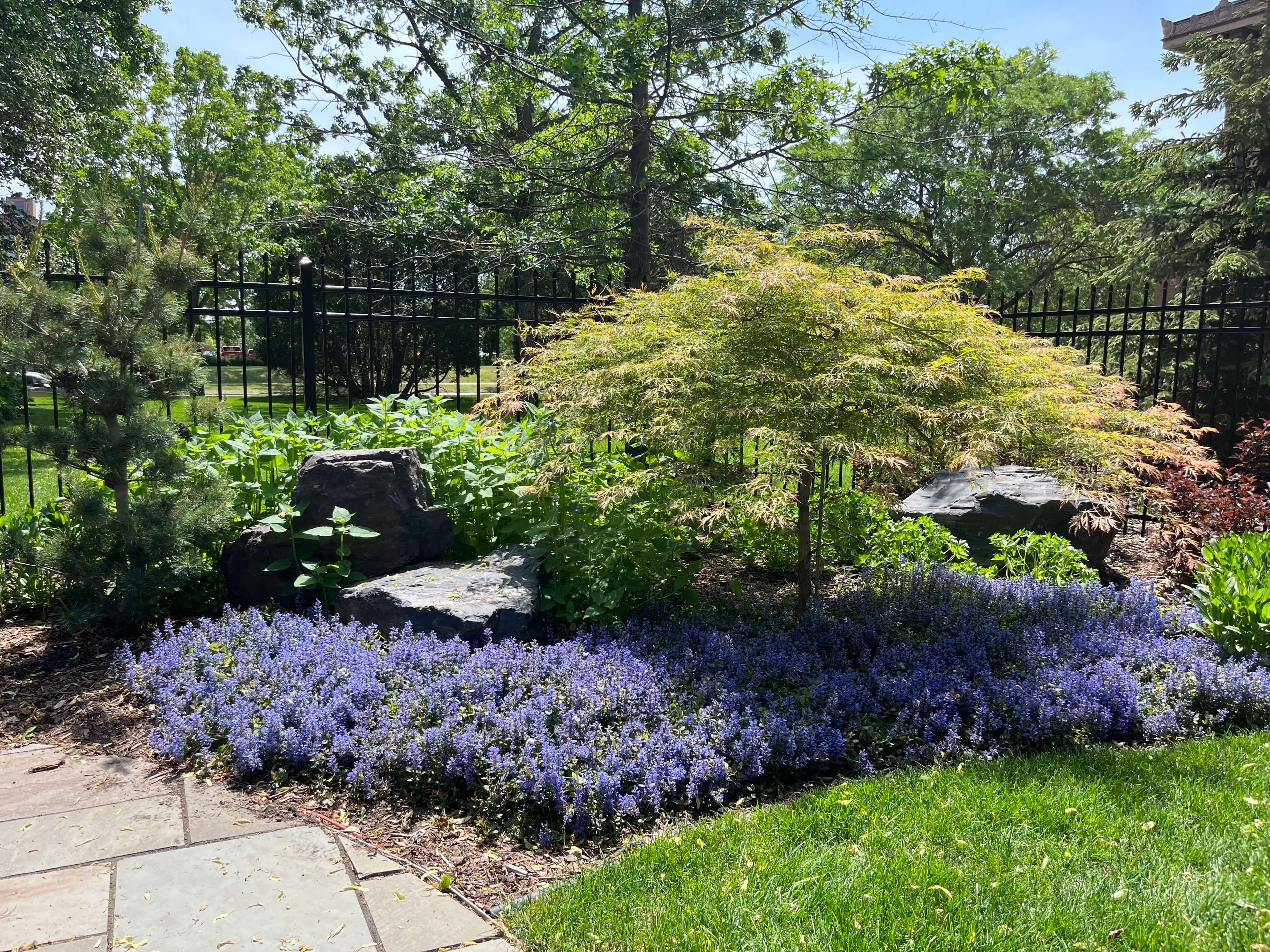 Image 18