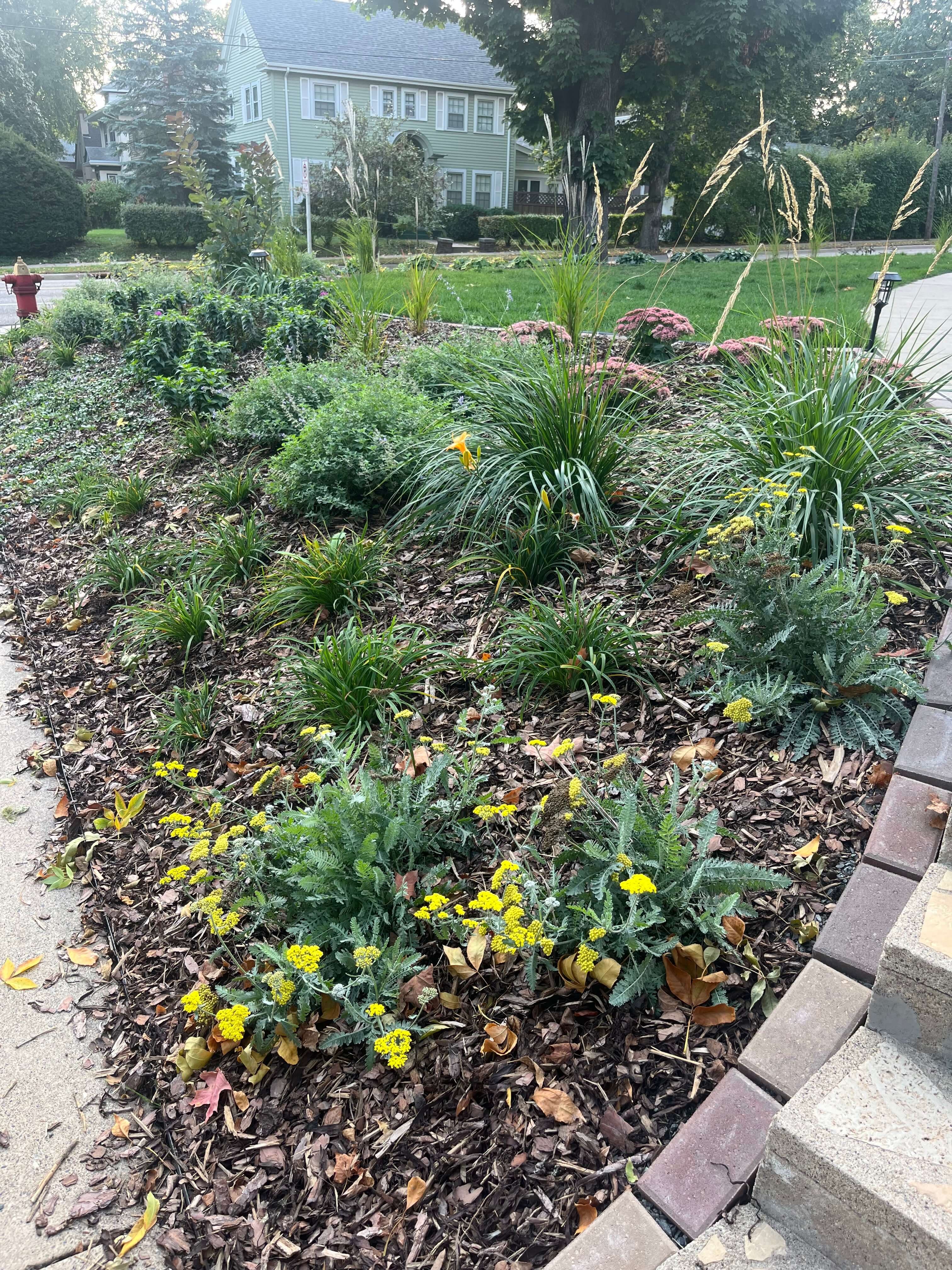 Image 15