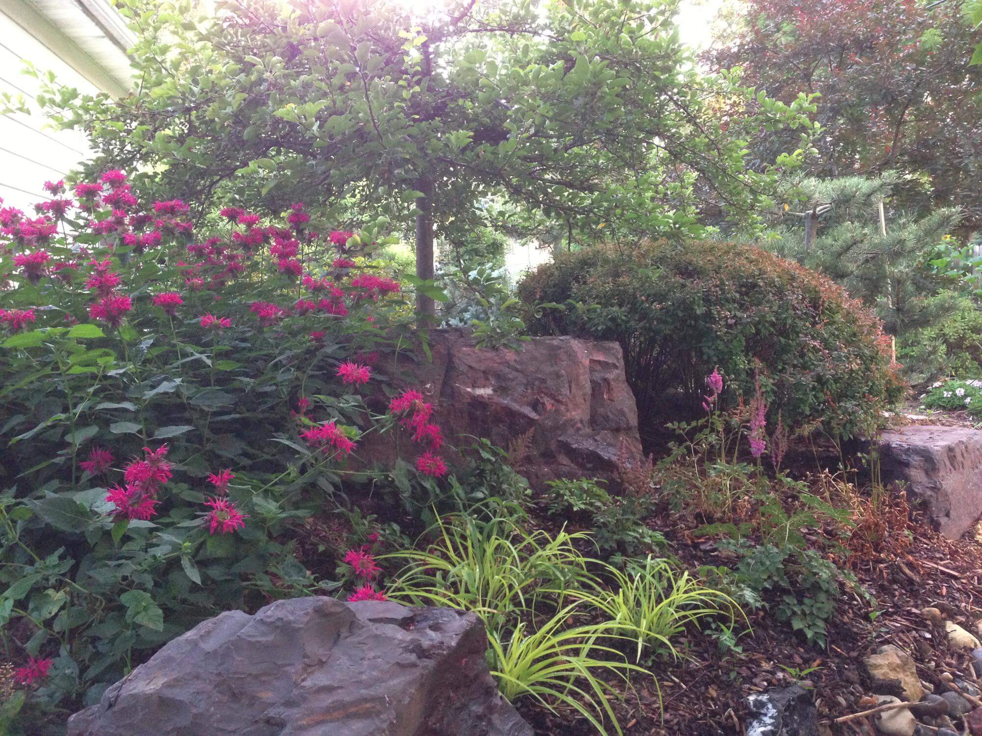 Image 64