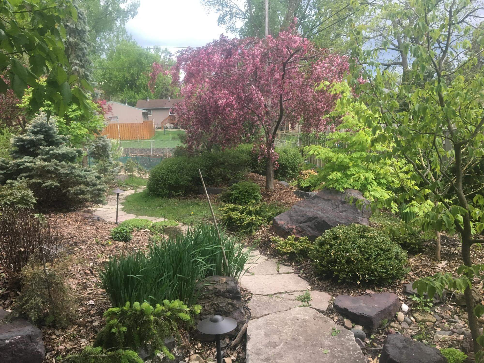Image 51