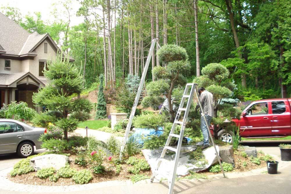 Image 14