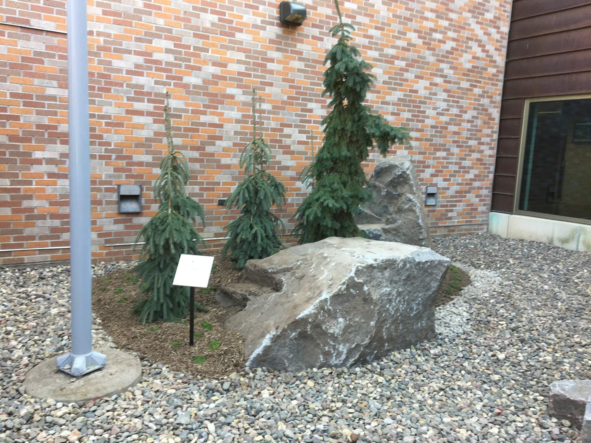 Image 12