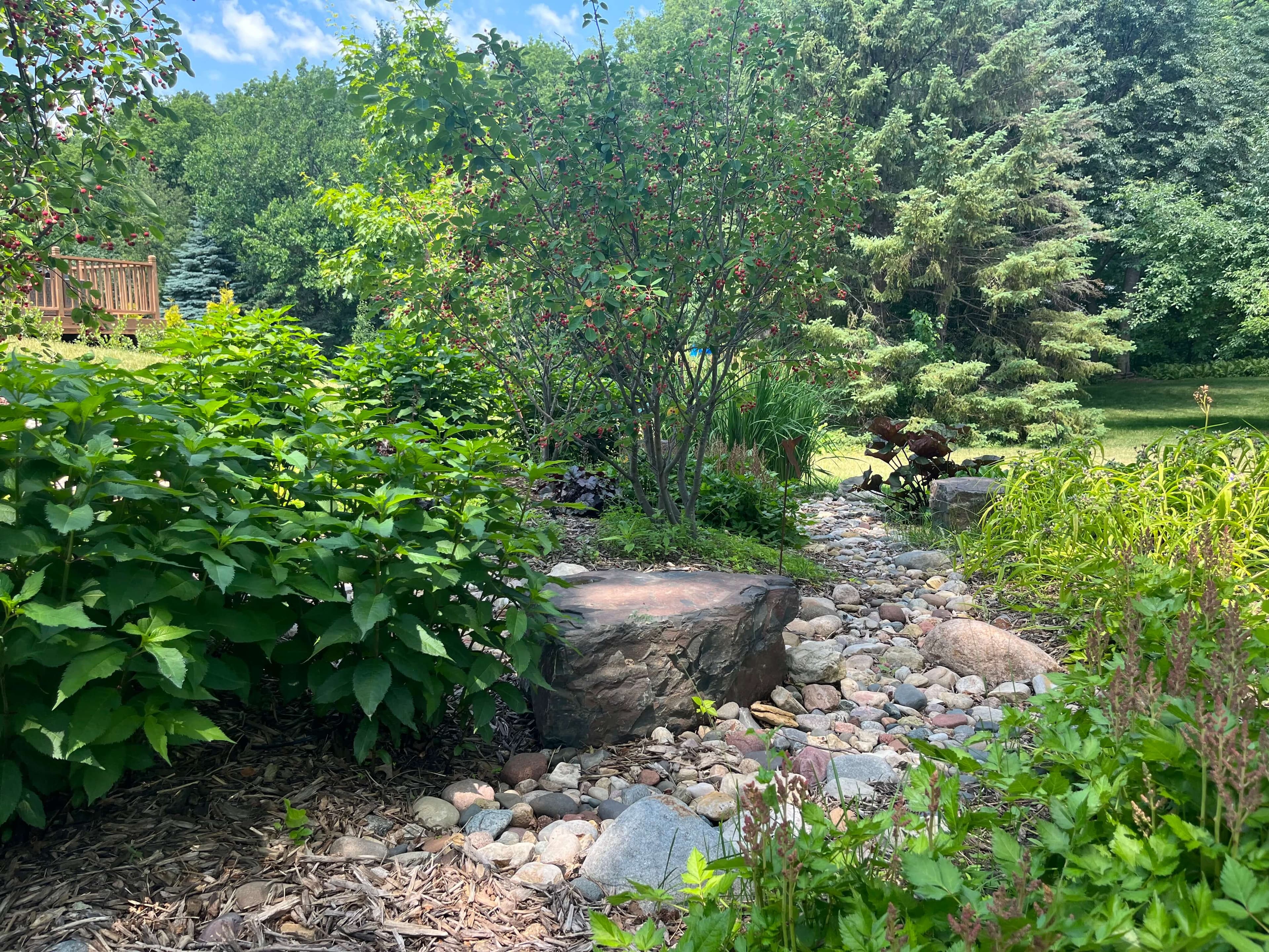 Image 10